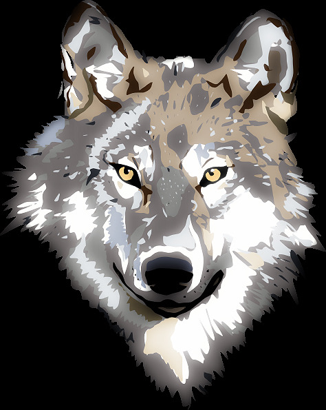 Wijze Wolf hondenservice
